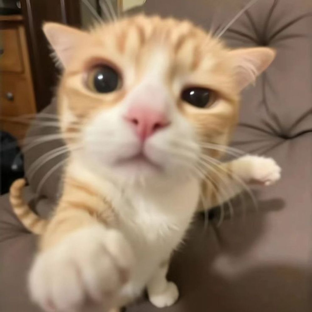 Piotrek