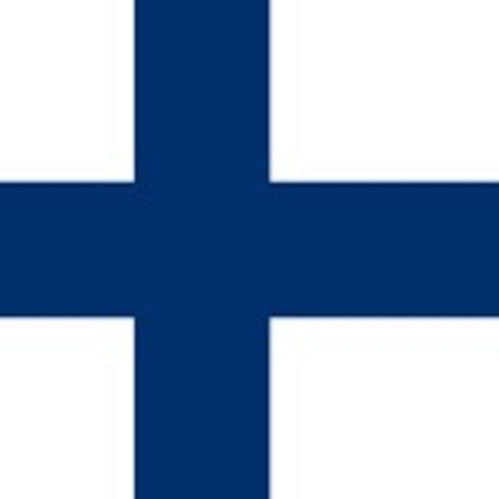 はいさく🇫🇮(たかなしはいさく)
