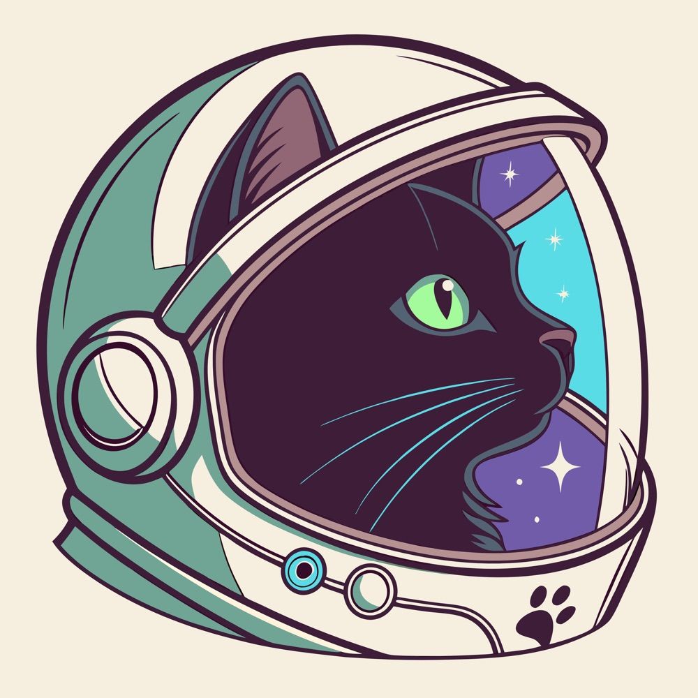 GatoNáutico