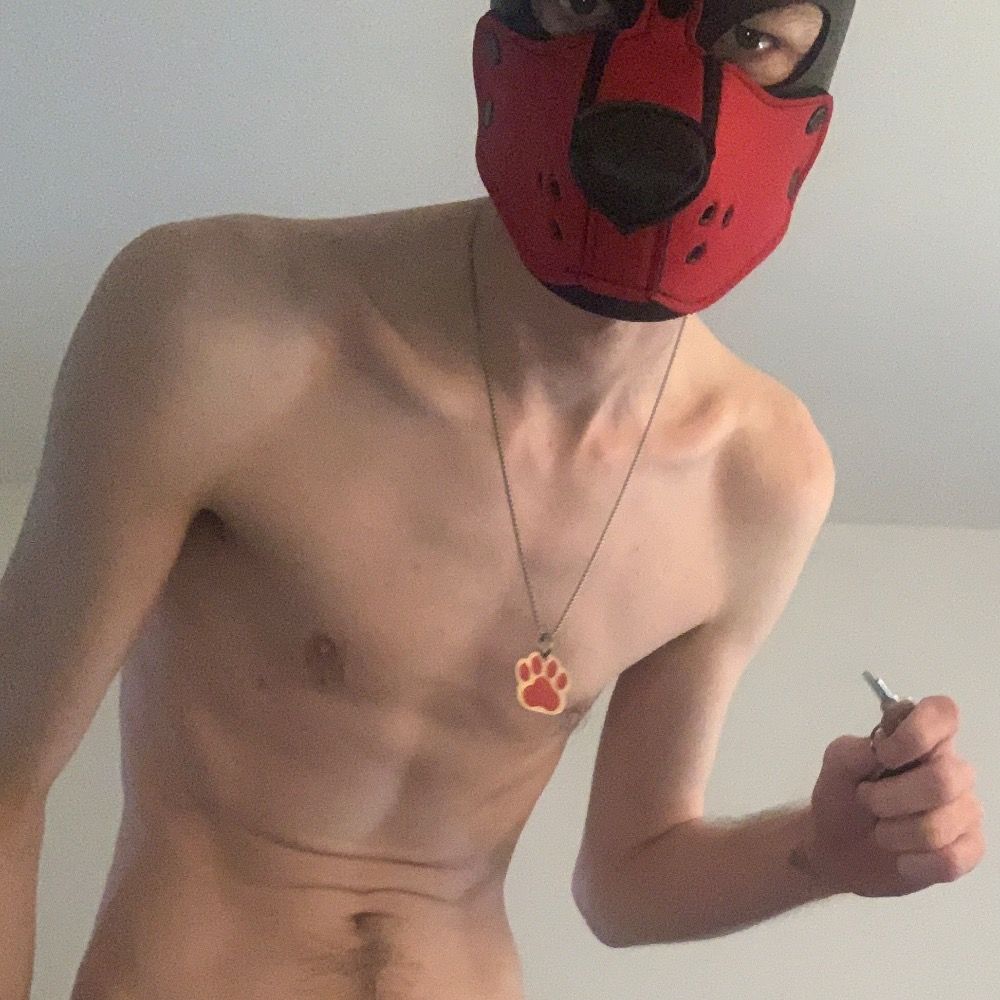 Pup Dax