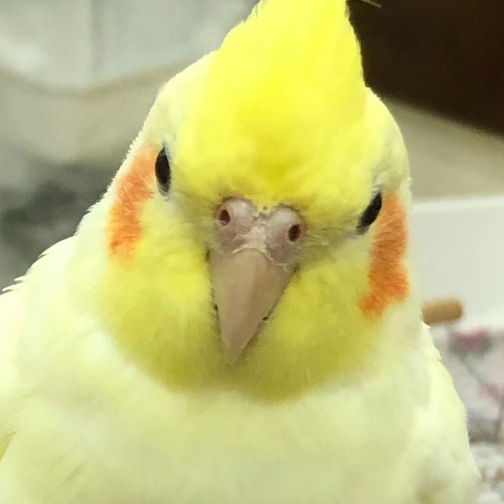 汐