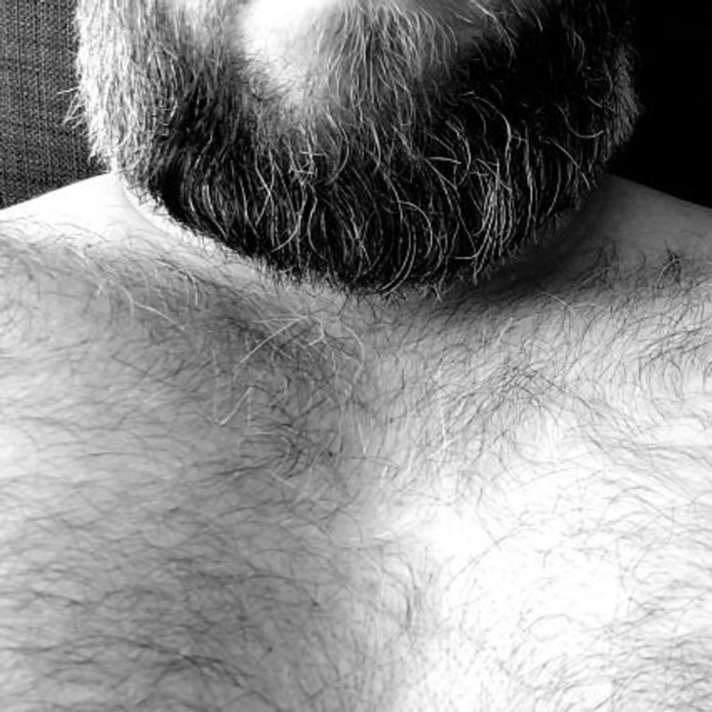 Bearlygaymer