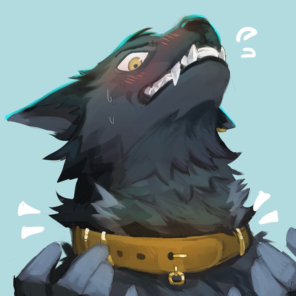 Lupus 獹帕斯
