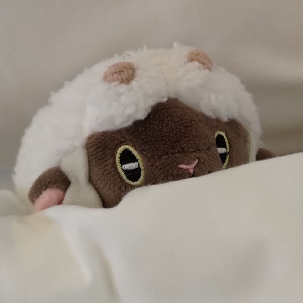 ひよこ