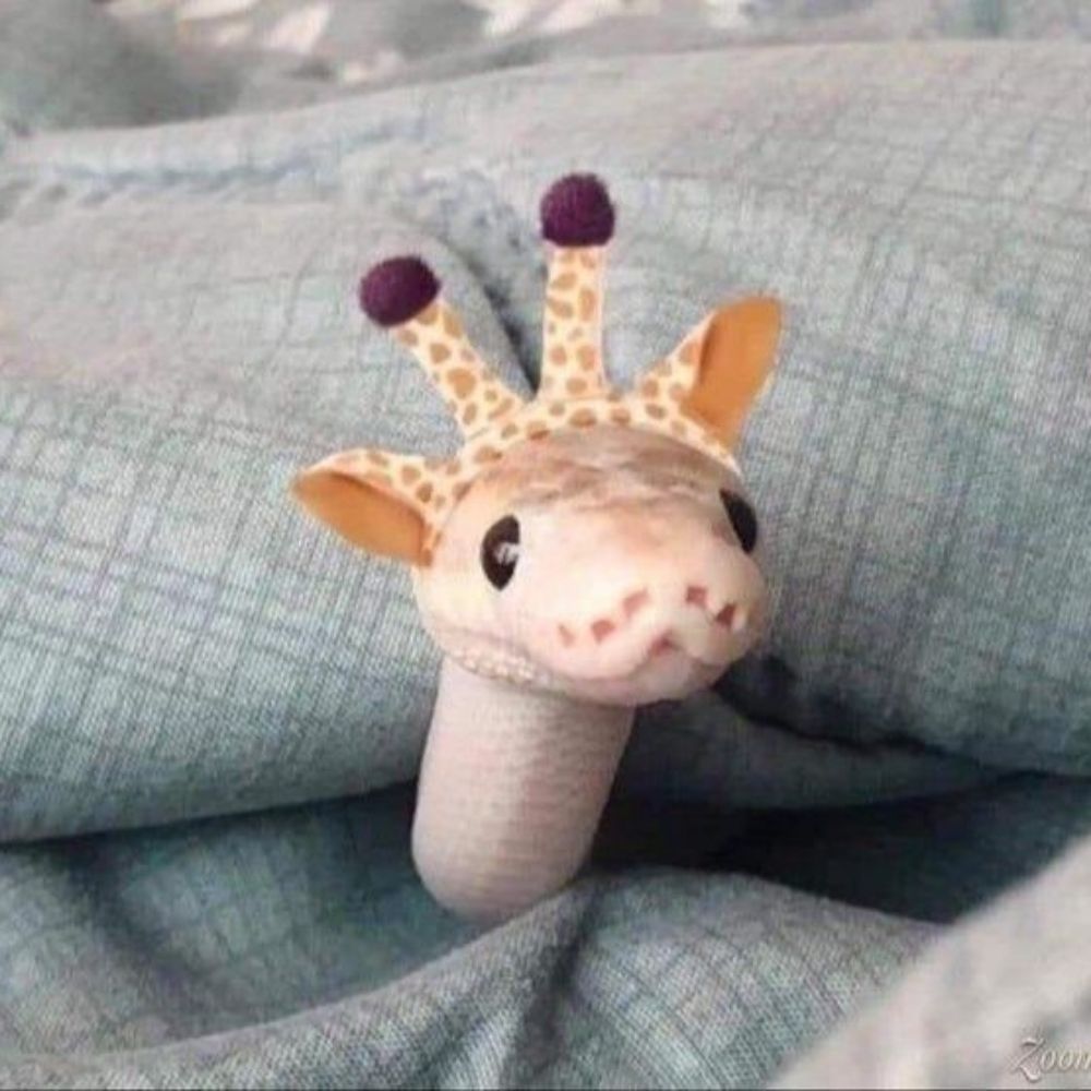 em ˶ᵔ ᵕ ᵔ˶