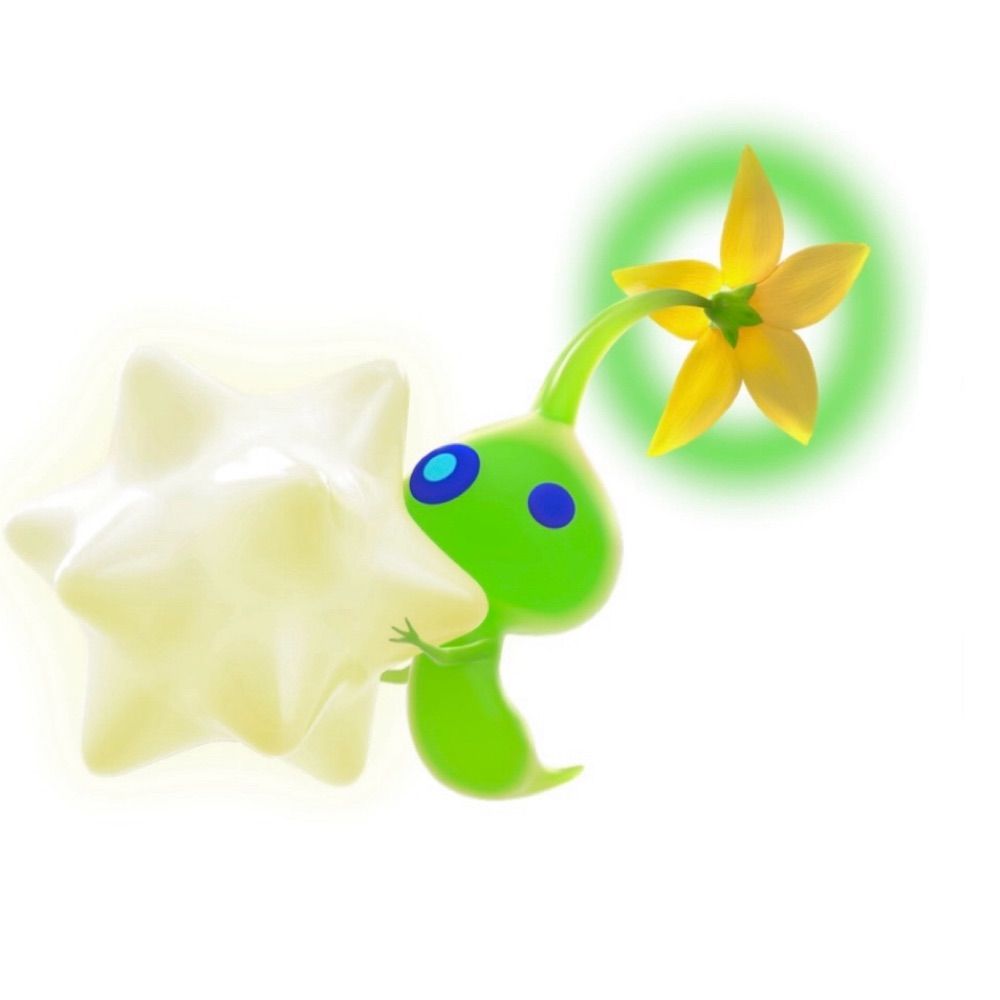ｷｭﾗｿｰ ／ 𝑪𝒖𝒓𝒂ç𝒂𝒐