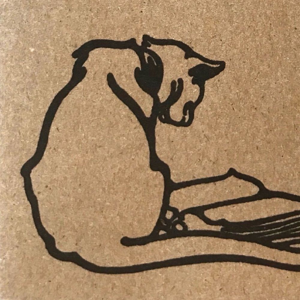 Murakami’s Cat