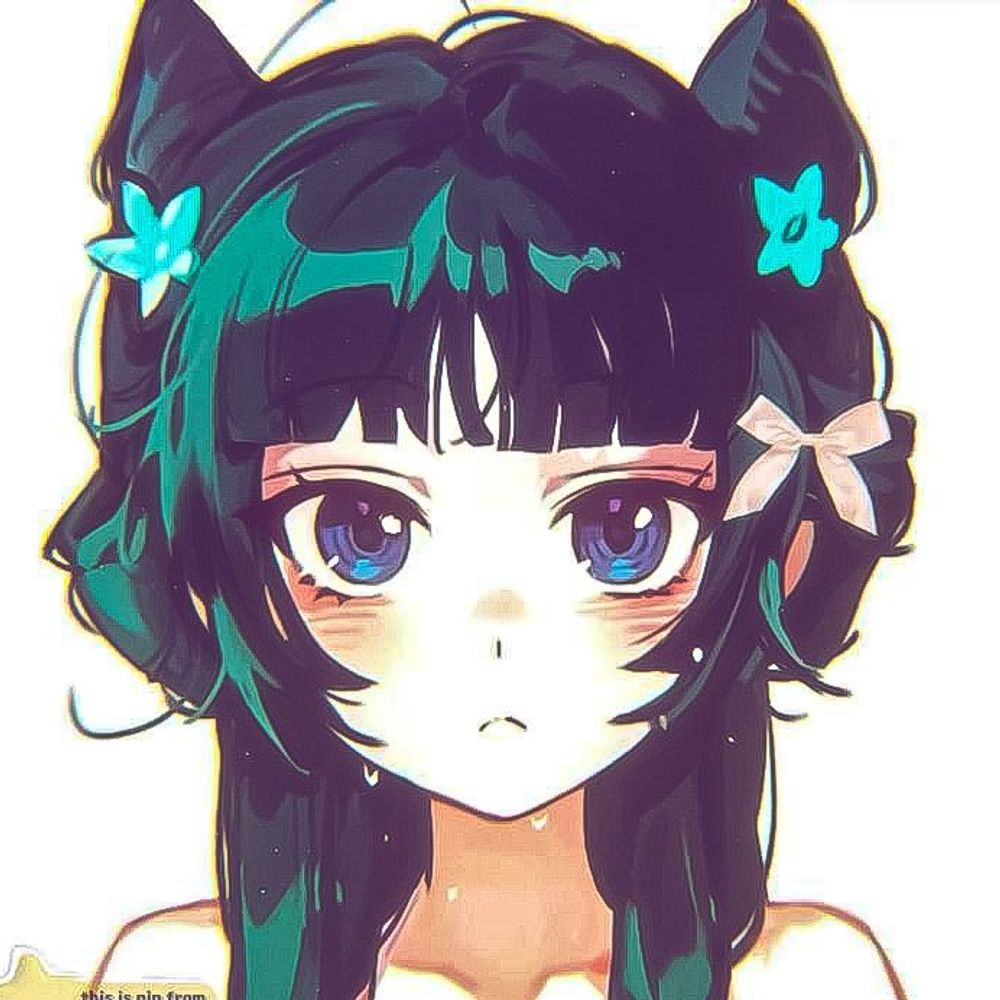 линчик блинчик 🐾
