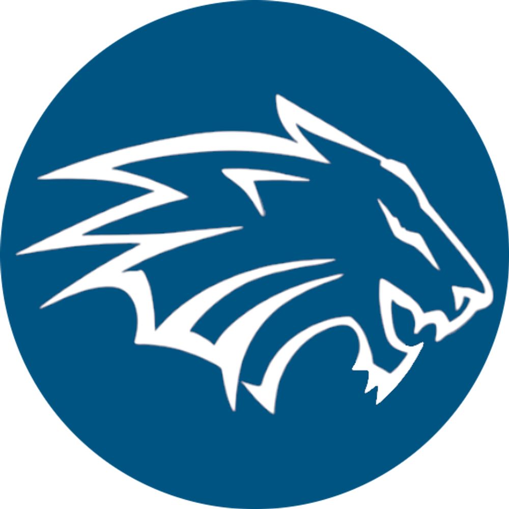 Netbeast Consultoria