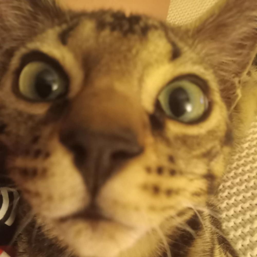 AJ