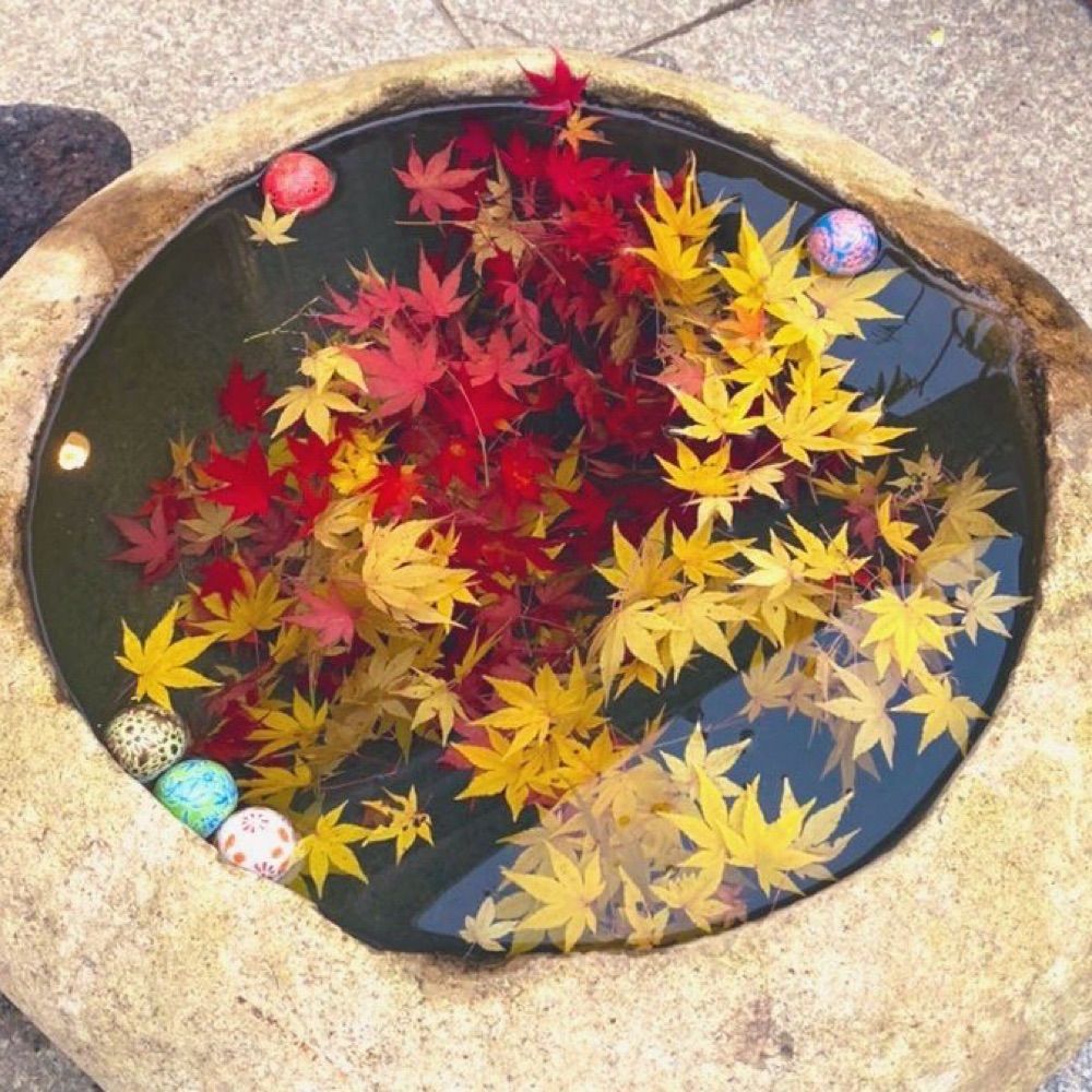 生息域