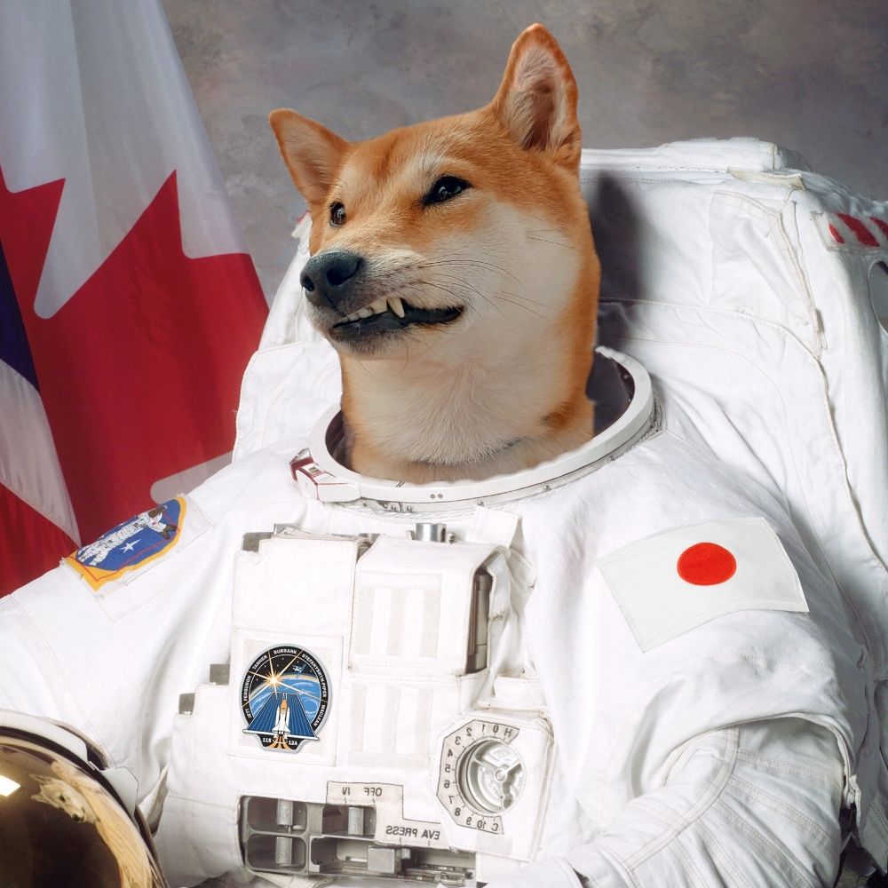 The Moonlord