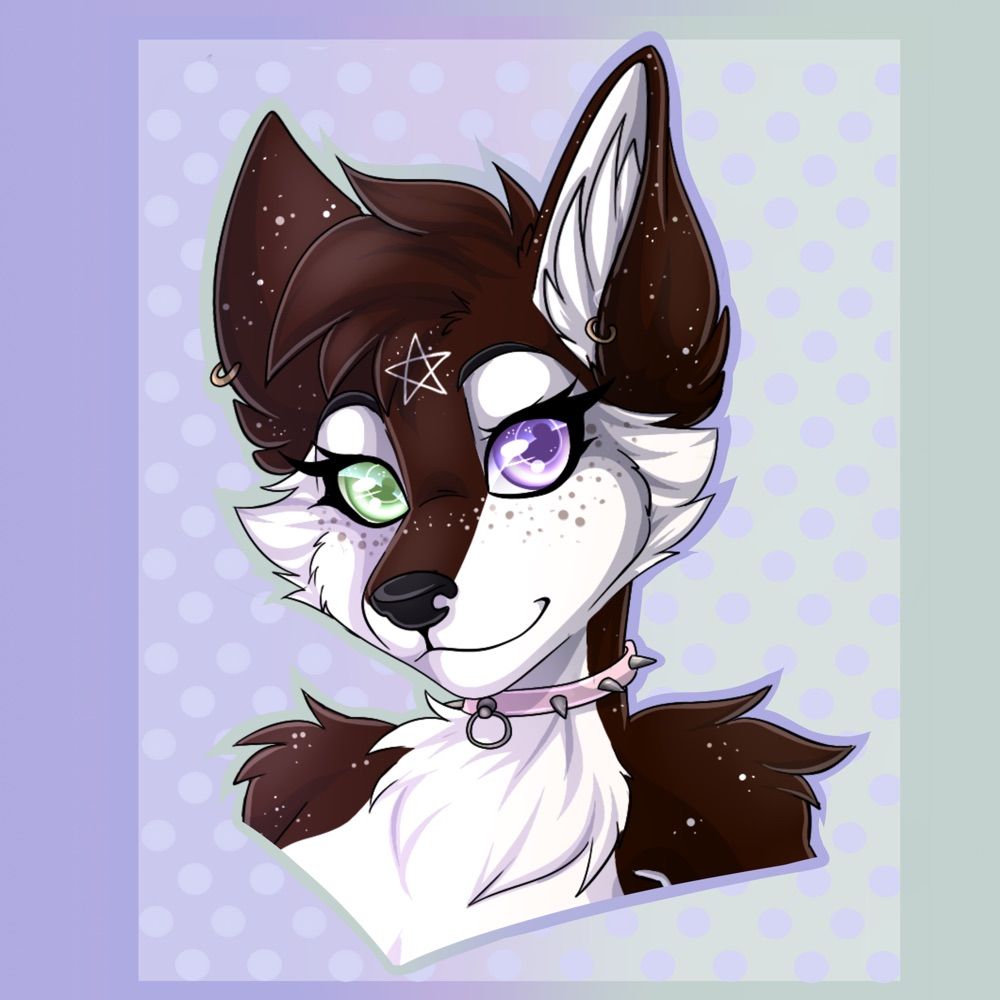 Persephone ✨🐺