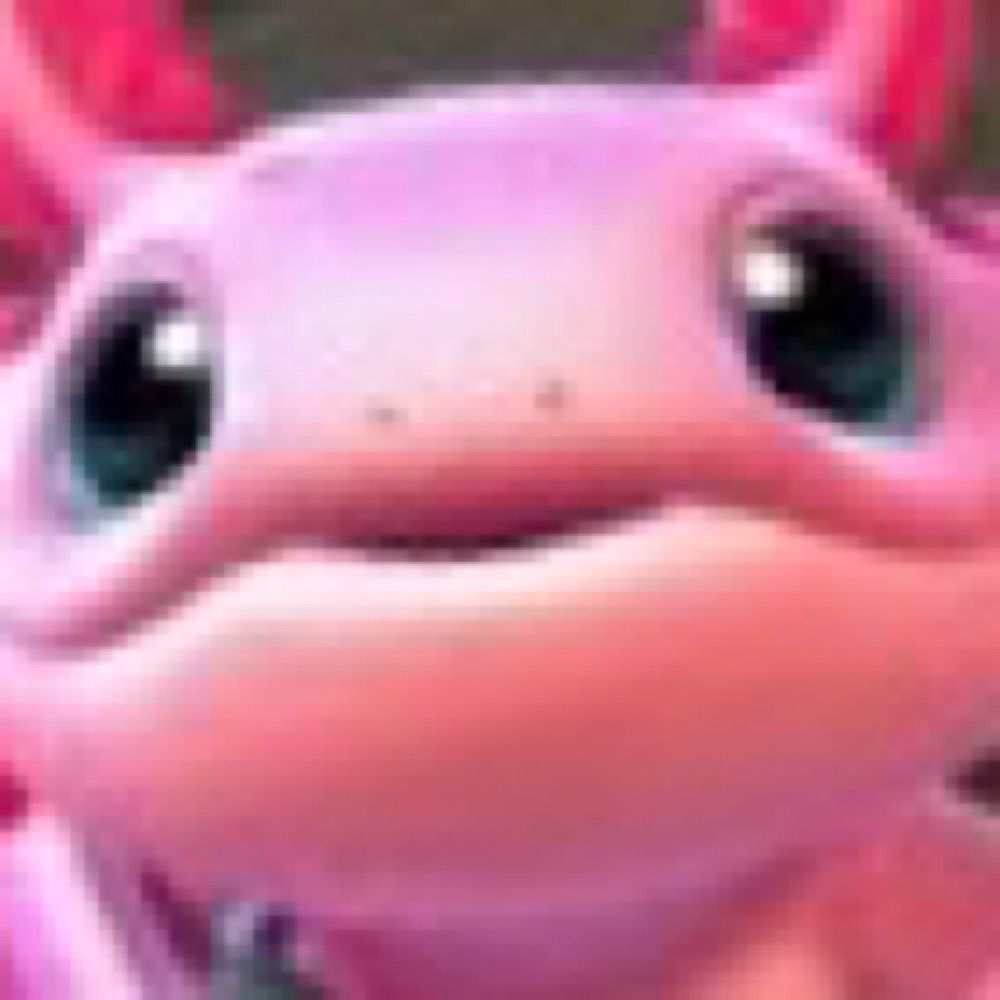 🌊✨🪷viva la axolotl🌊✨🪷