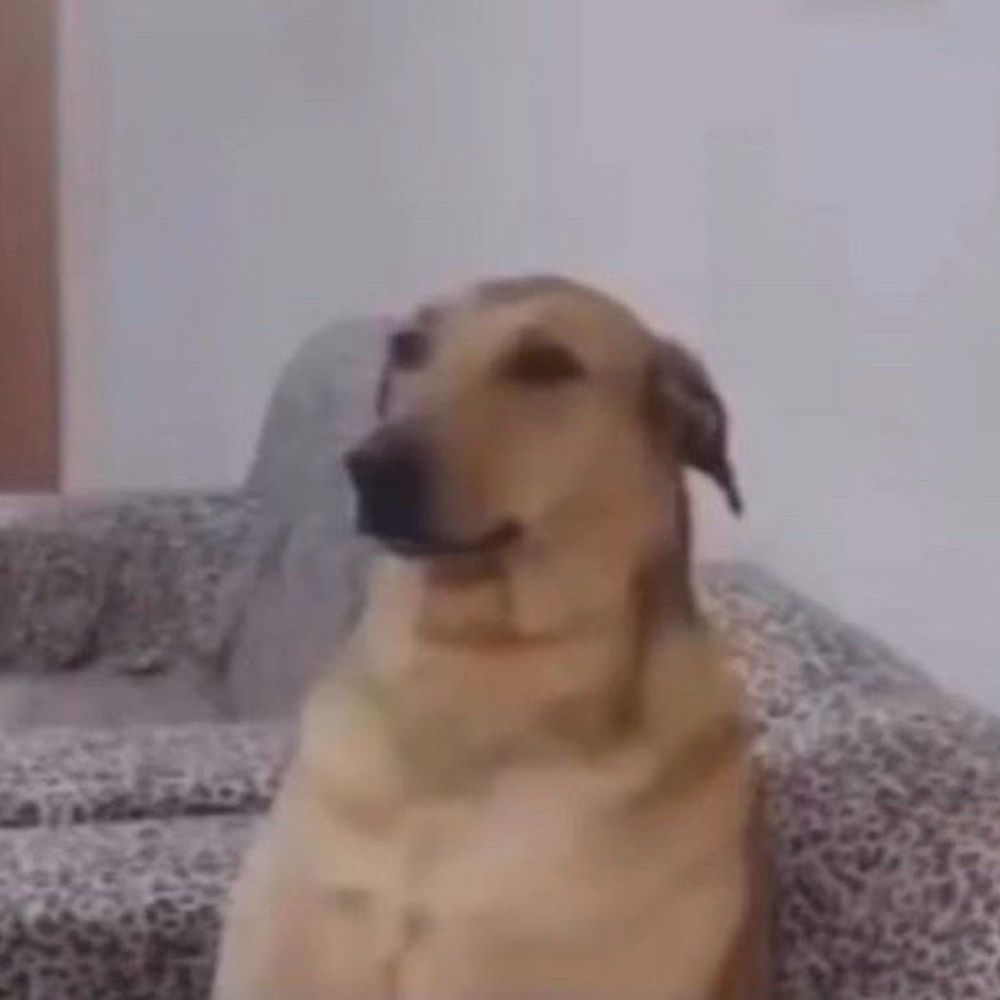jhonjhon