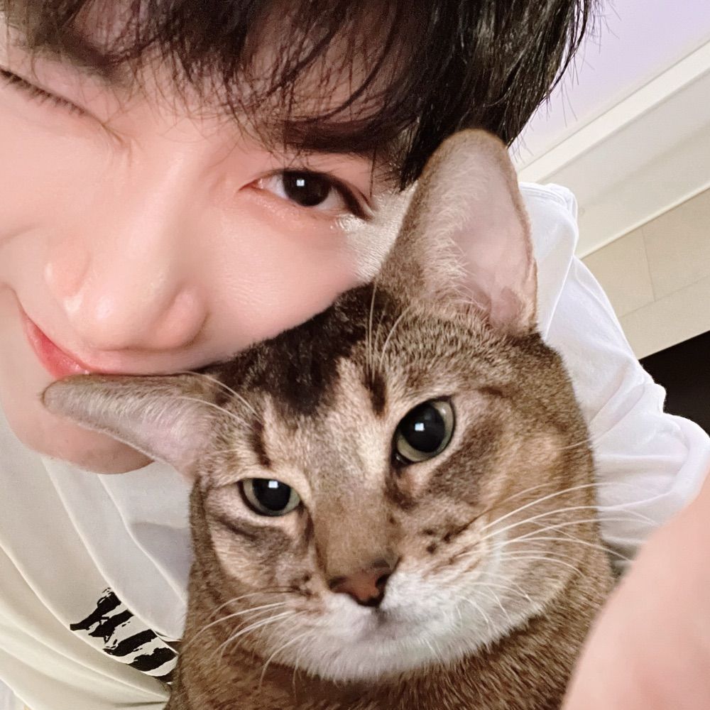 텐냥이🐈‍⬛