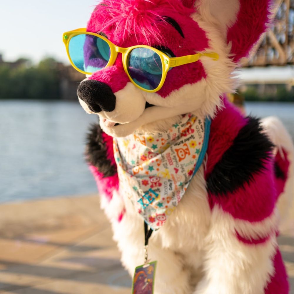 SCHMOVIN 'N GOOBIN 🔜 MEGAPLEX