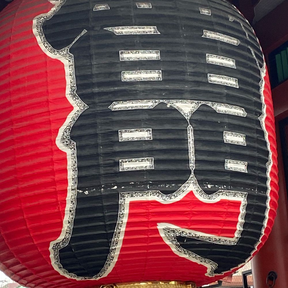 マーモセット