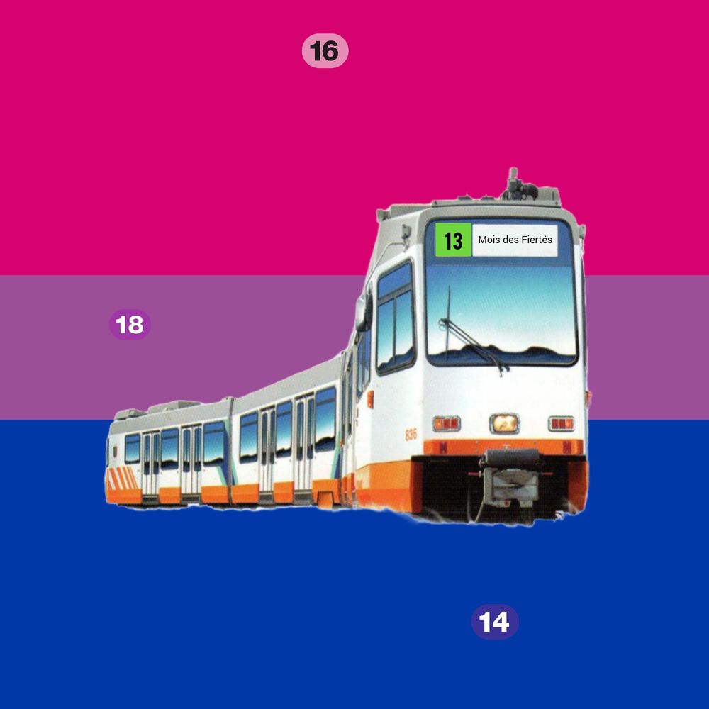 Ligne 13 de G'nève