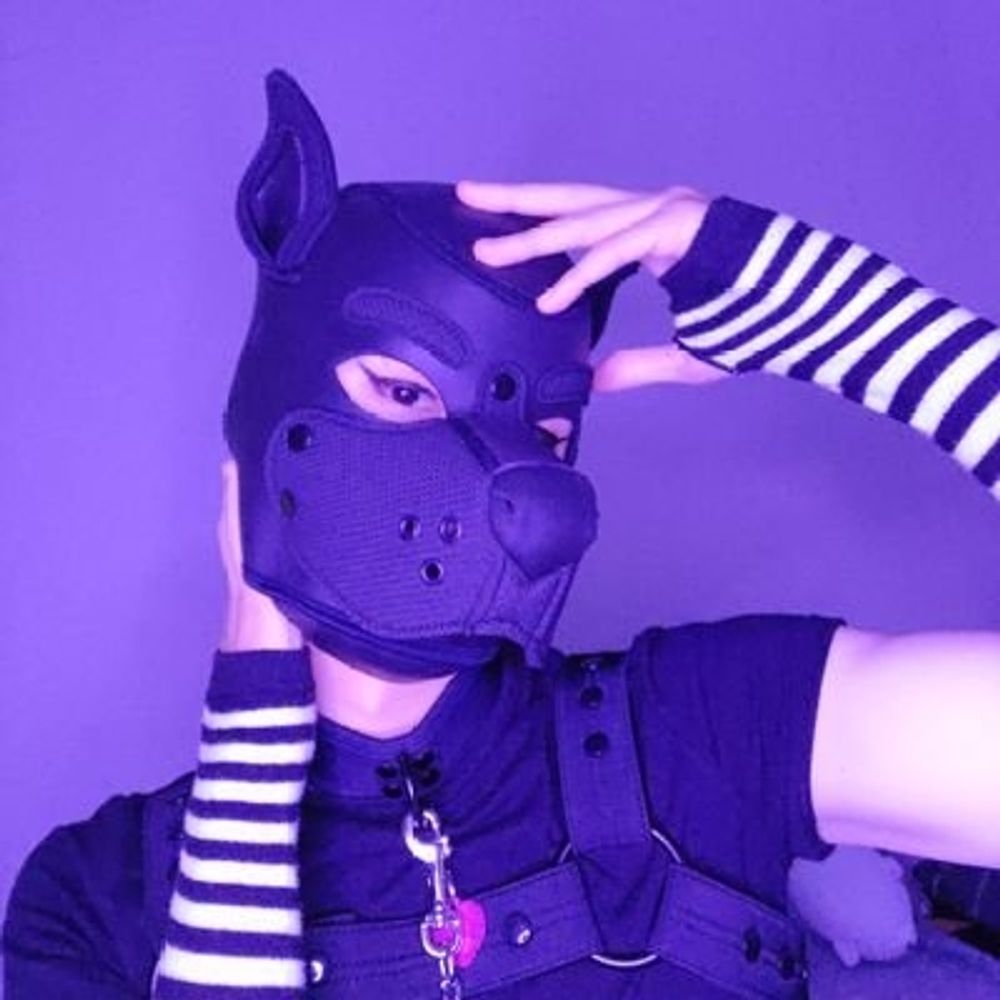 Pup Trace 