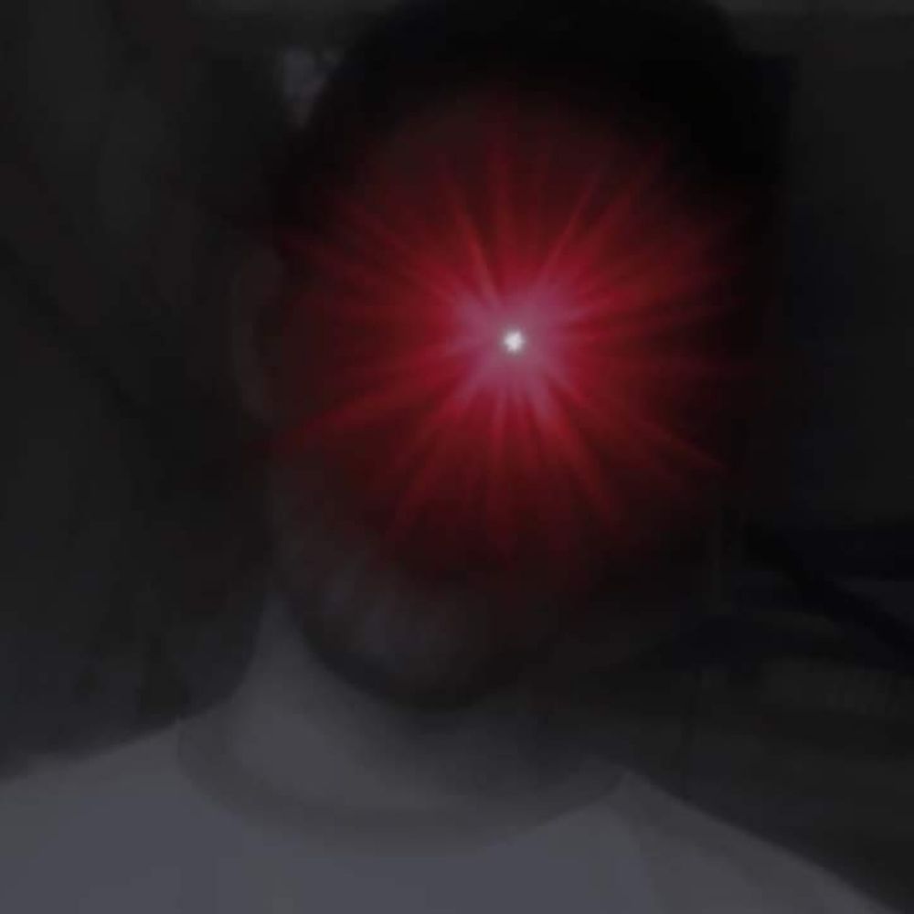 Alessandro_ gato