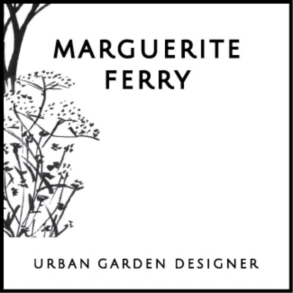 Marguerite Ferry
