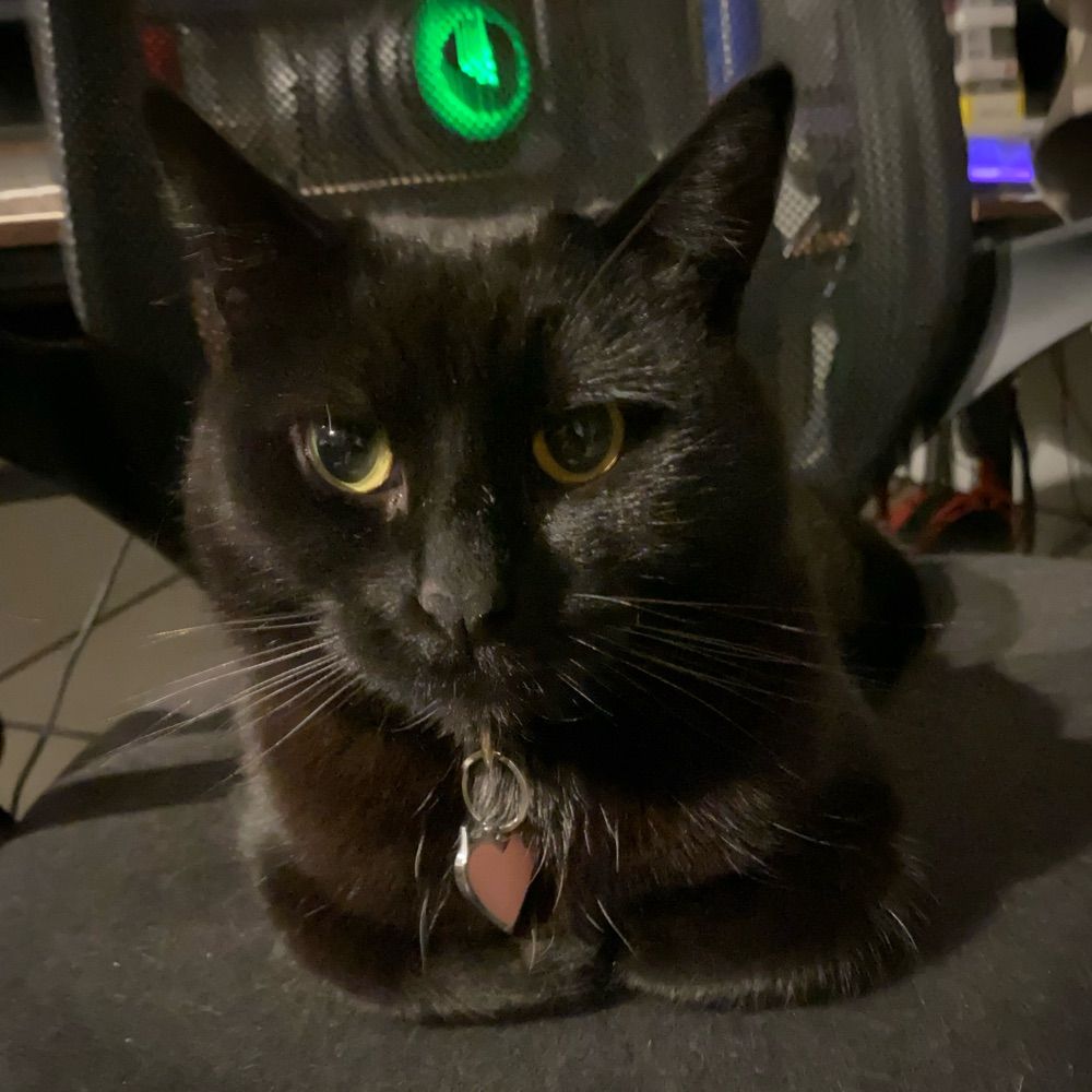 User avatar