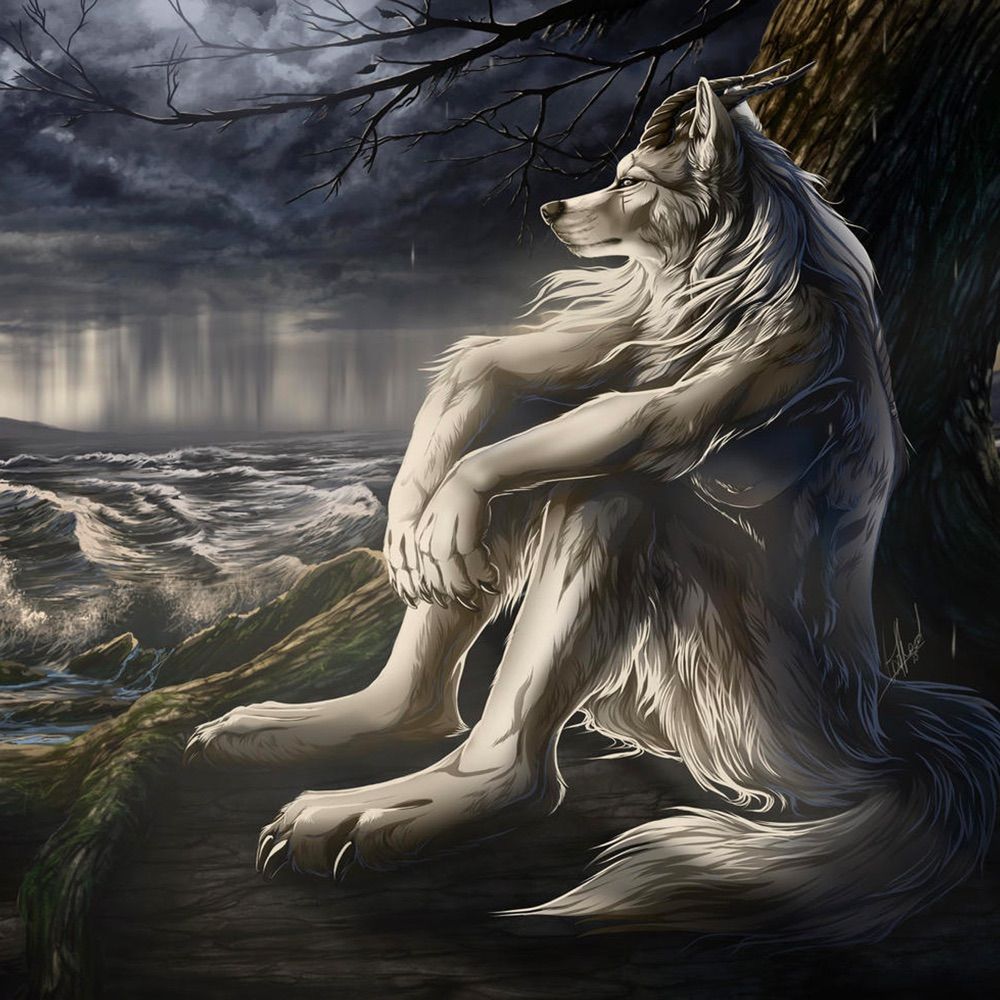 popular loner🐺🚶