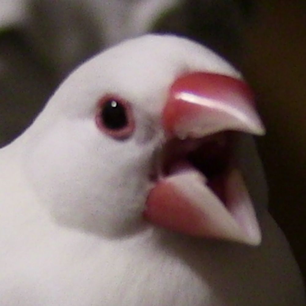 ぽぎ