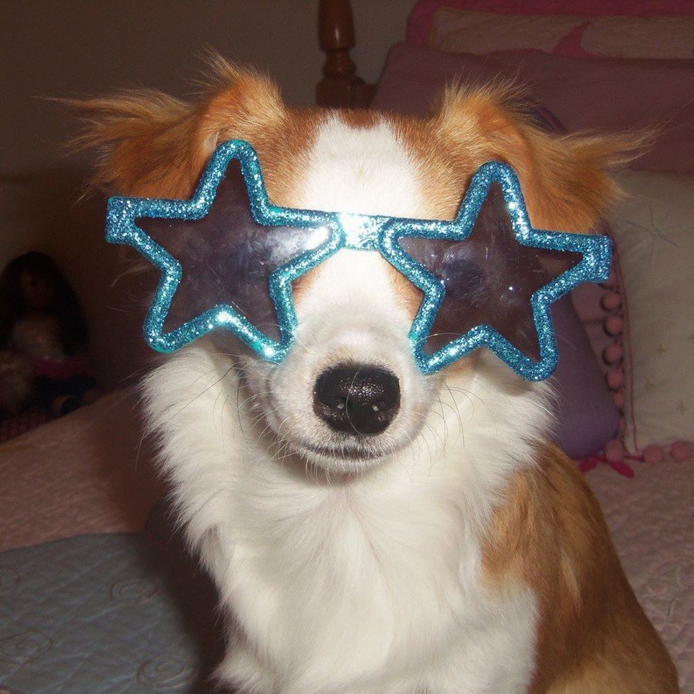 ☆KC☆
