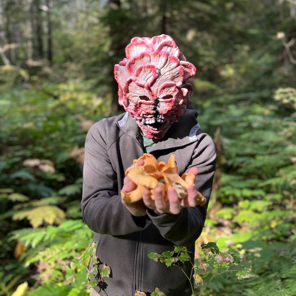 colliflower
