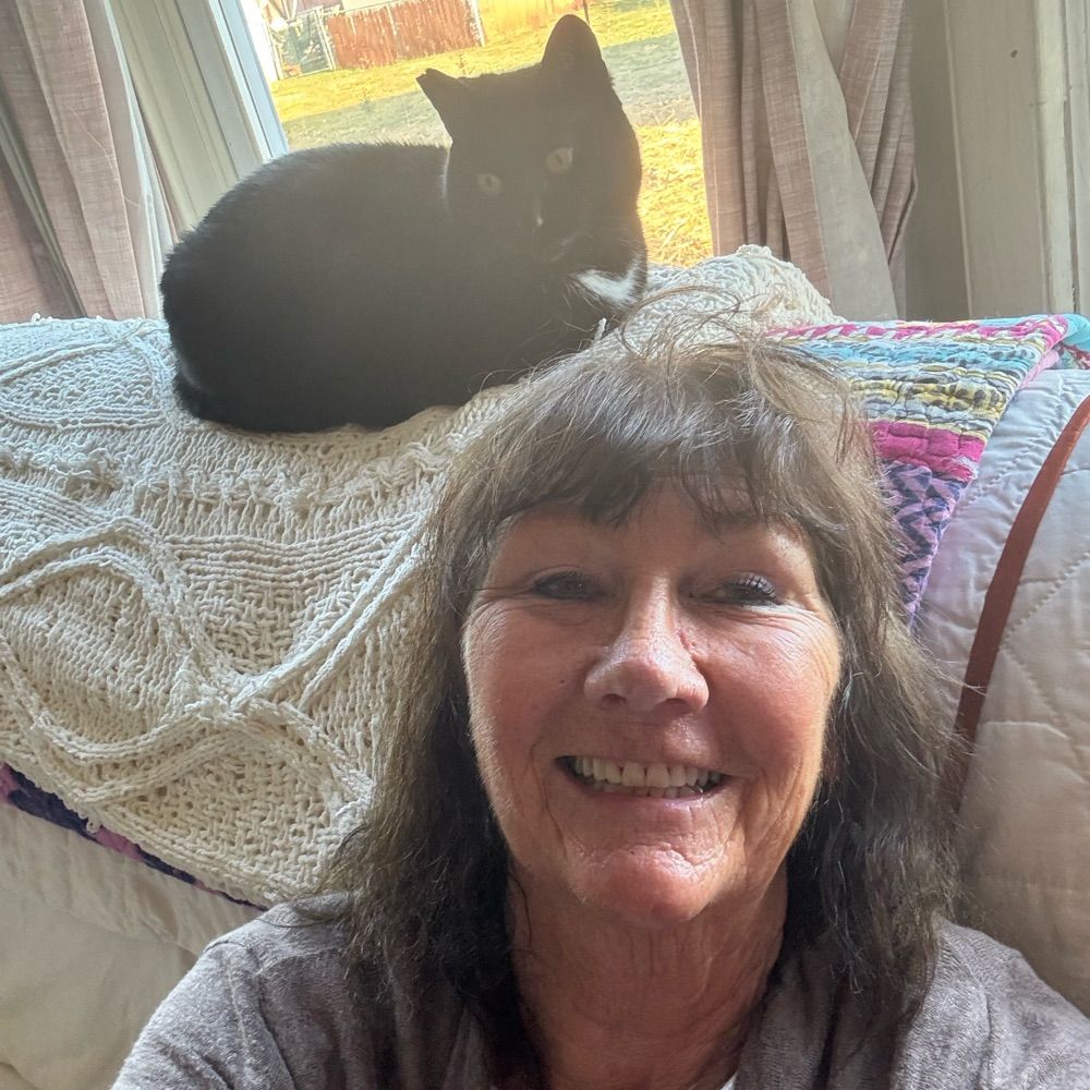 aracelaura.bsky.social