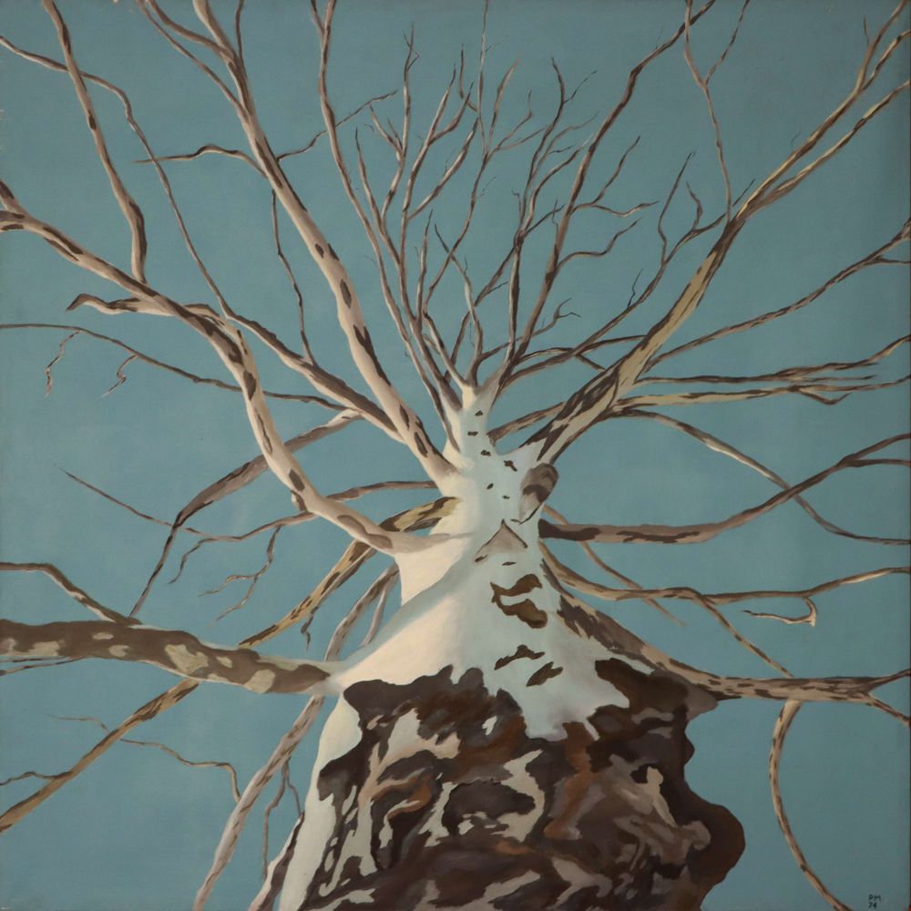 Jonathan Mitchell