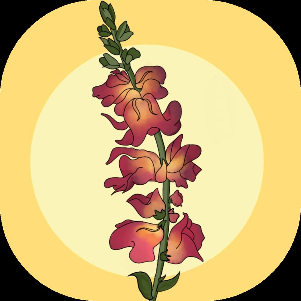 The Snapdragon Magazine