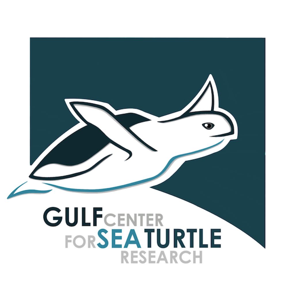 Gulf Center for Sea Turtle Research
