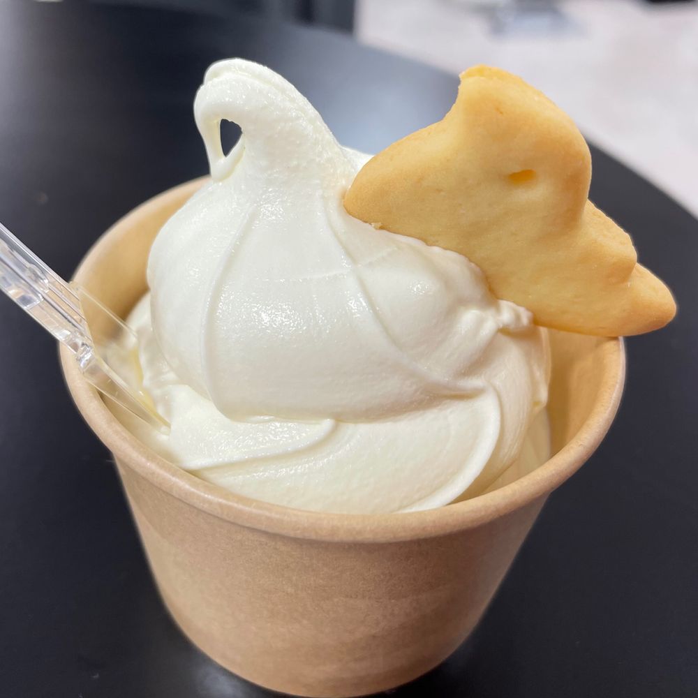 まのこ
