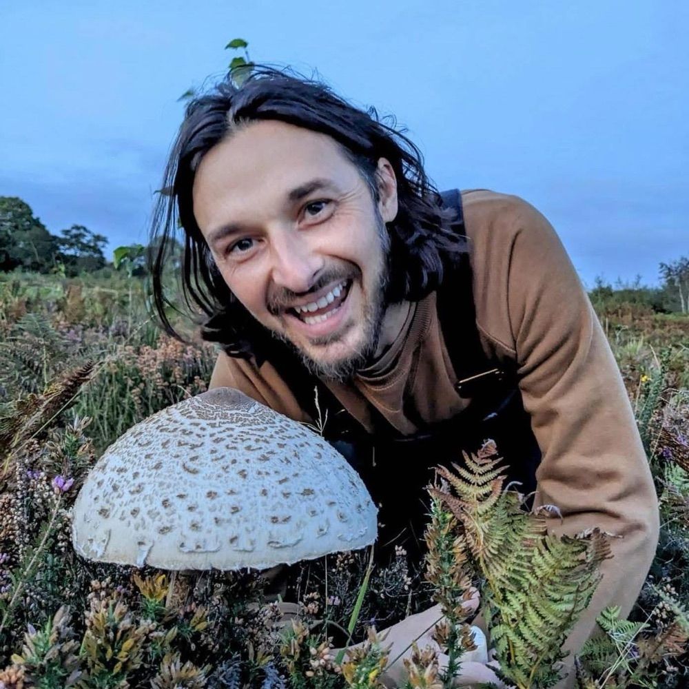 All Things Fungi