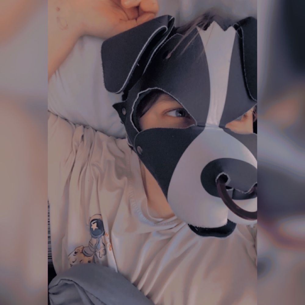 Pup Wishbone