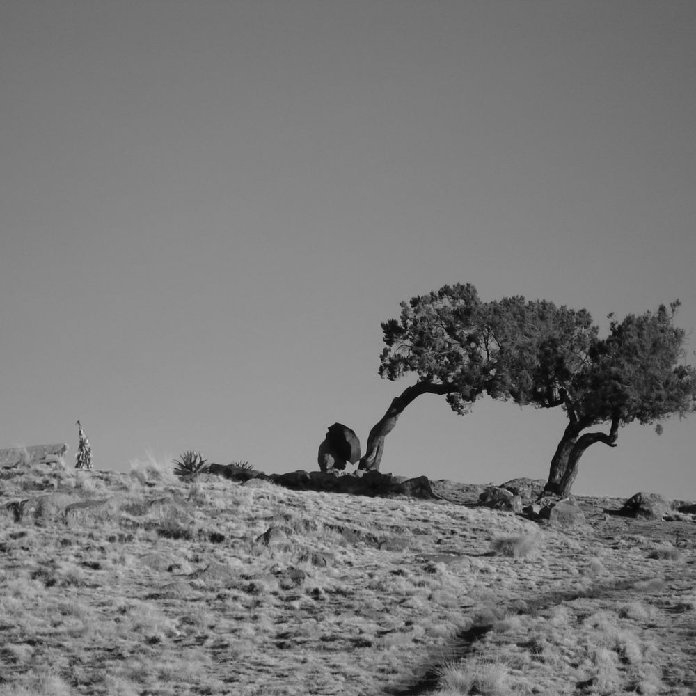 Guillaume Blanc