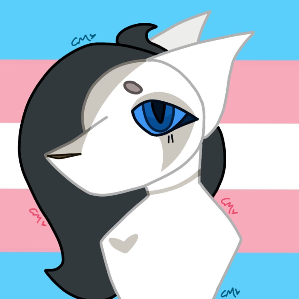 RAY !! 