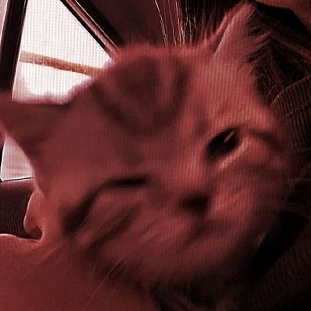 Pawch !!