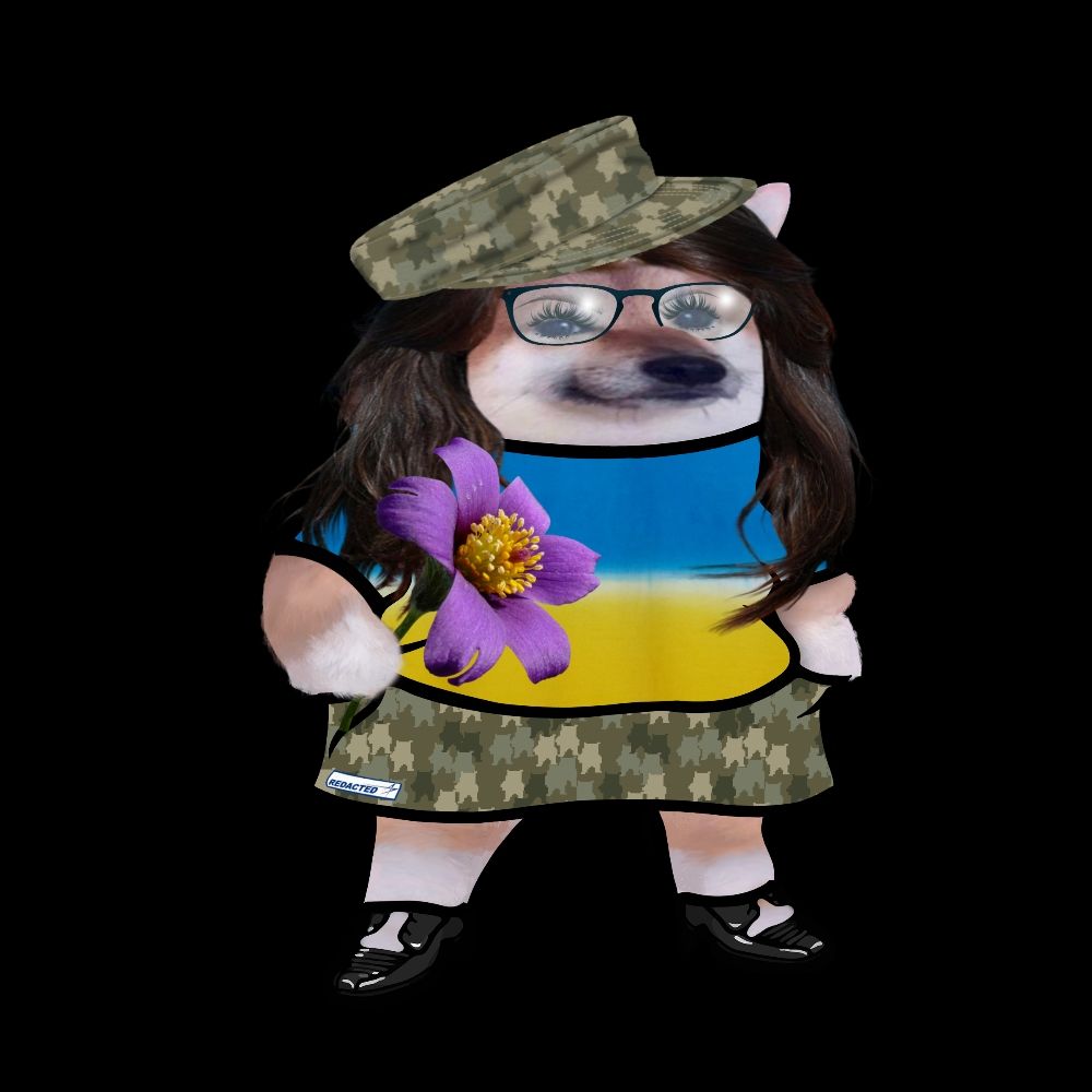 ingenalls.bsky.social profile picture