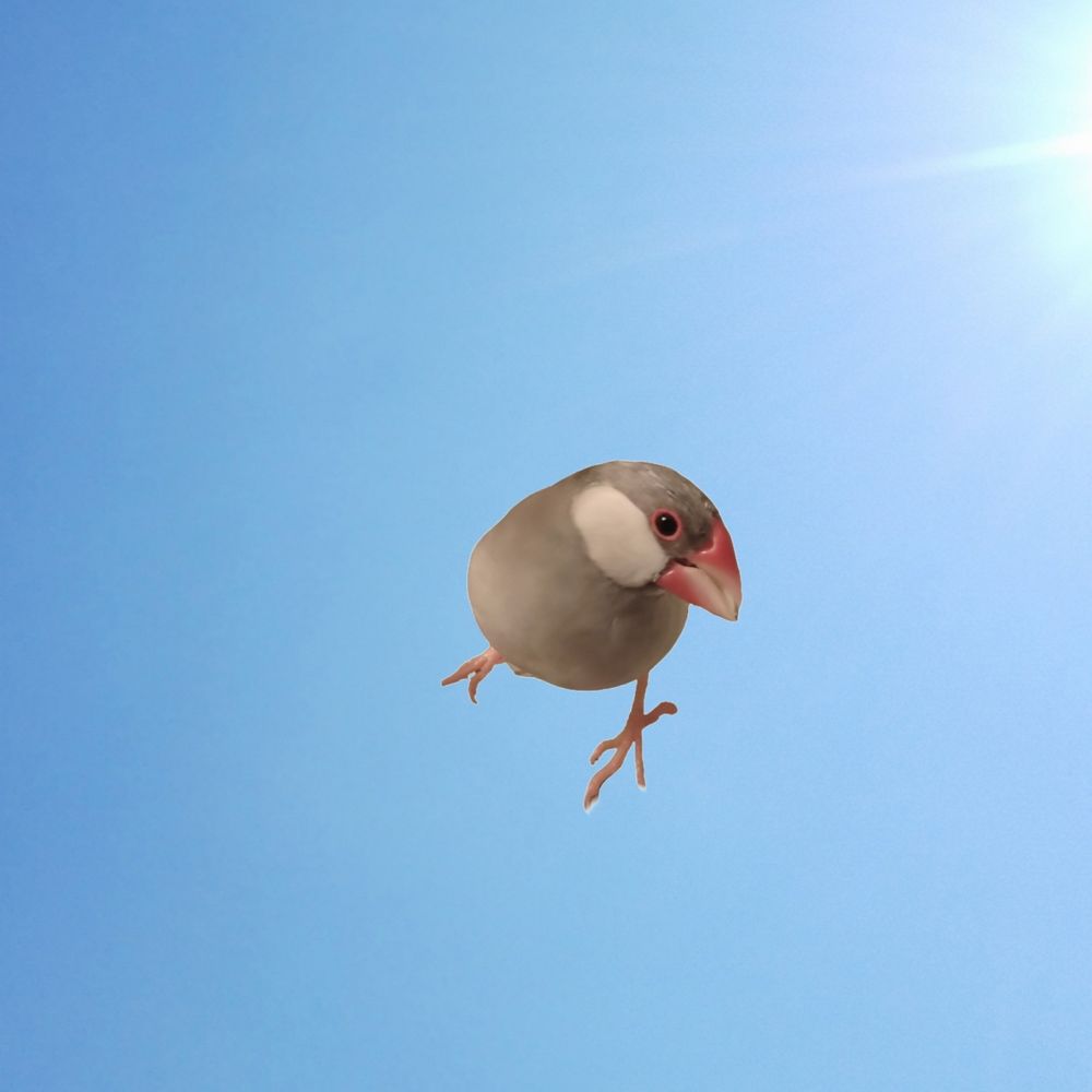じゅ✯ポケモン