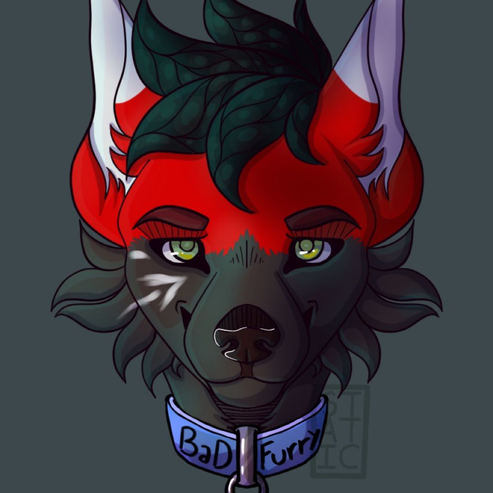 BaDFurry