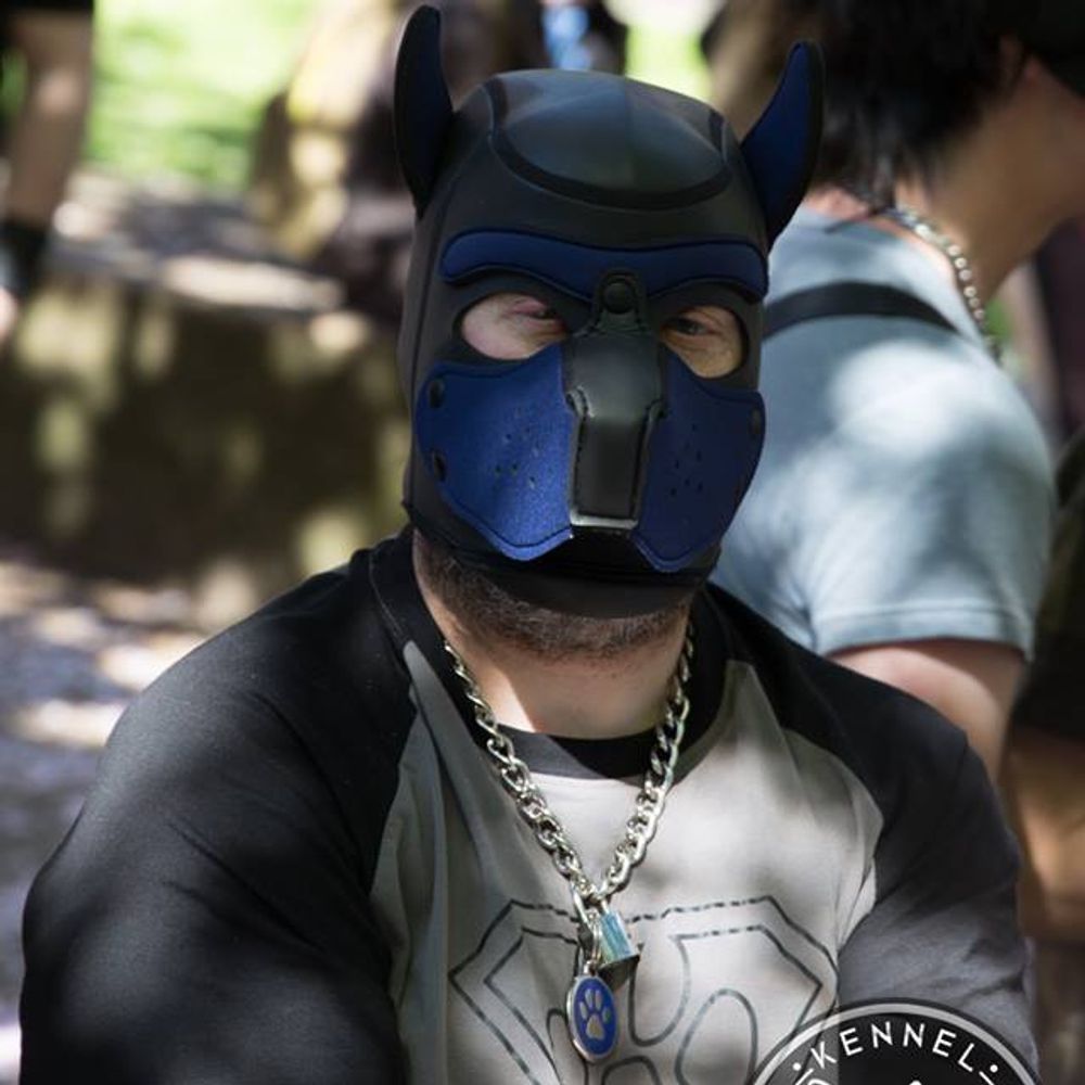 bwreebok (PUP)🐾