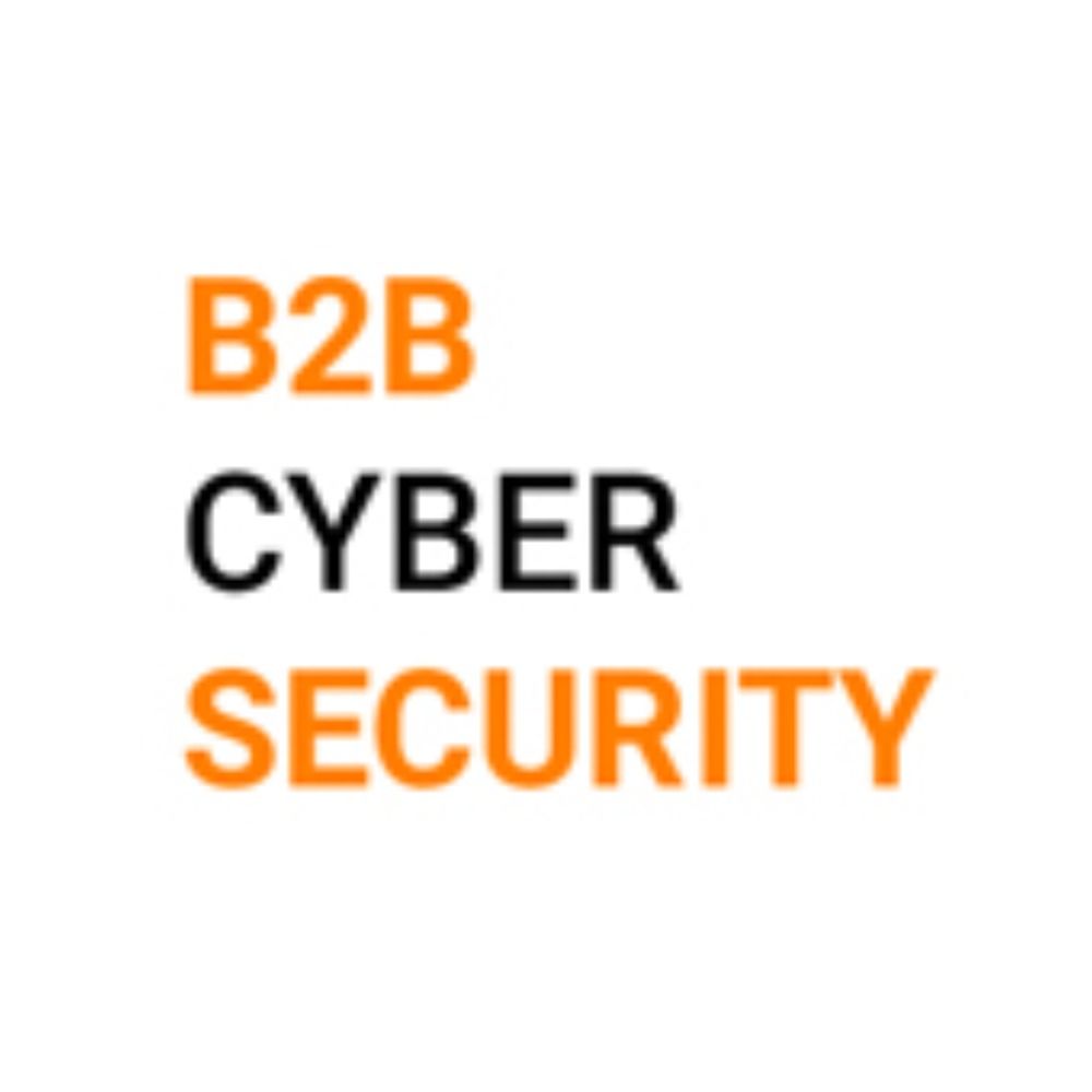 B2B CYBER SECURITY