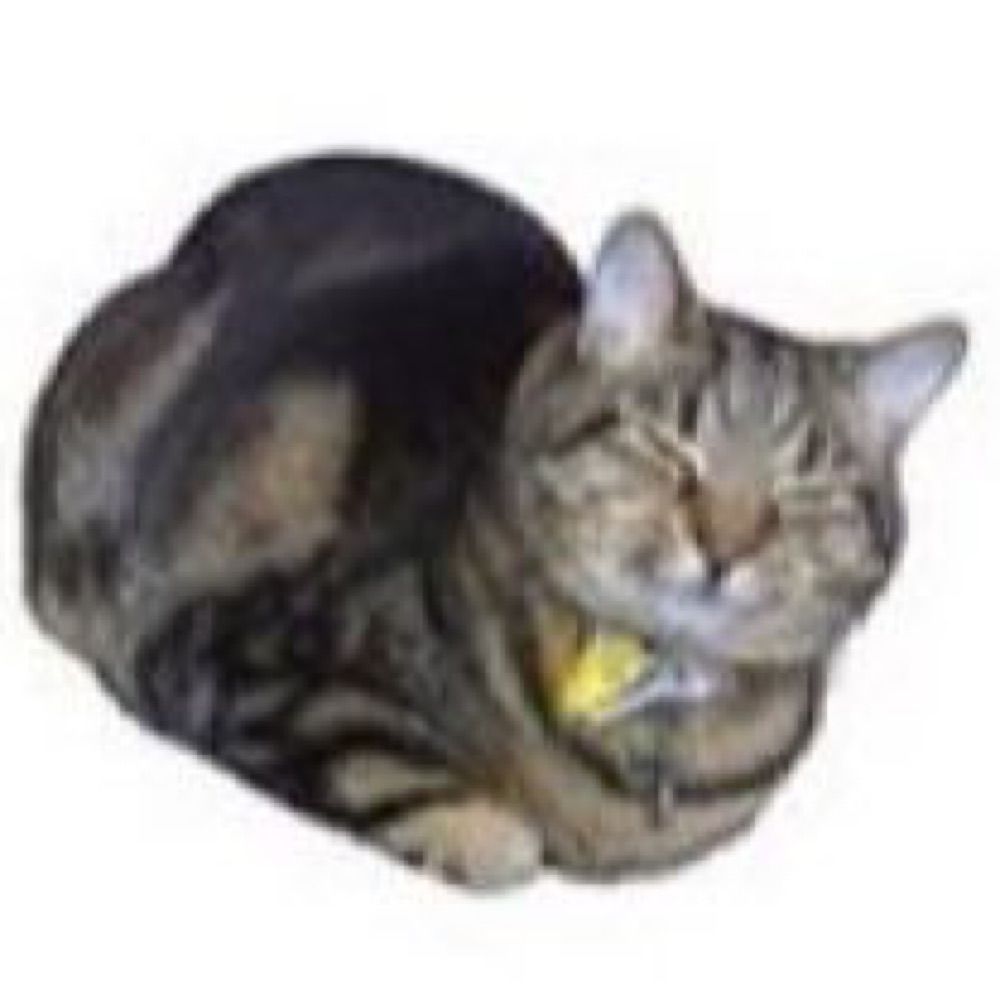 。