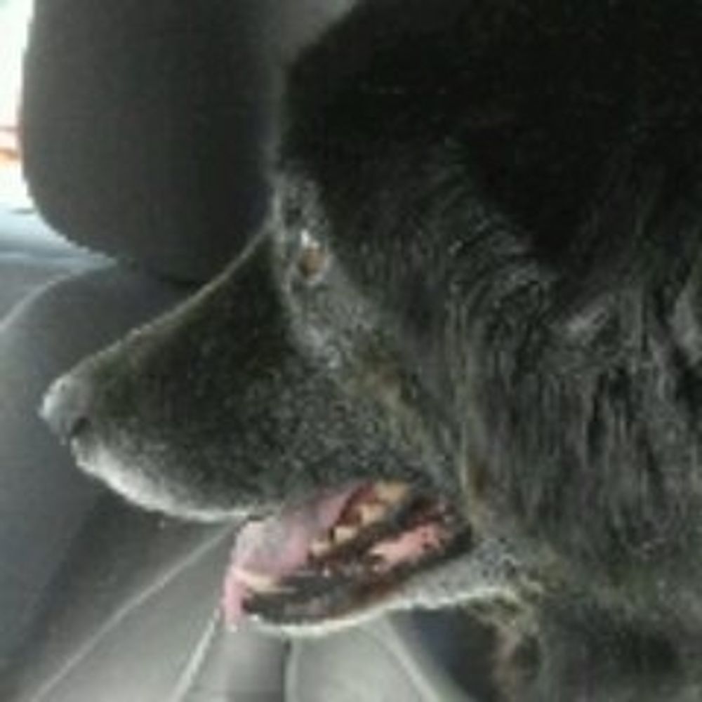 Bram