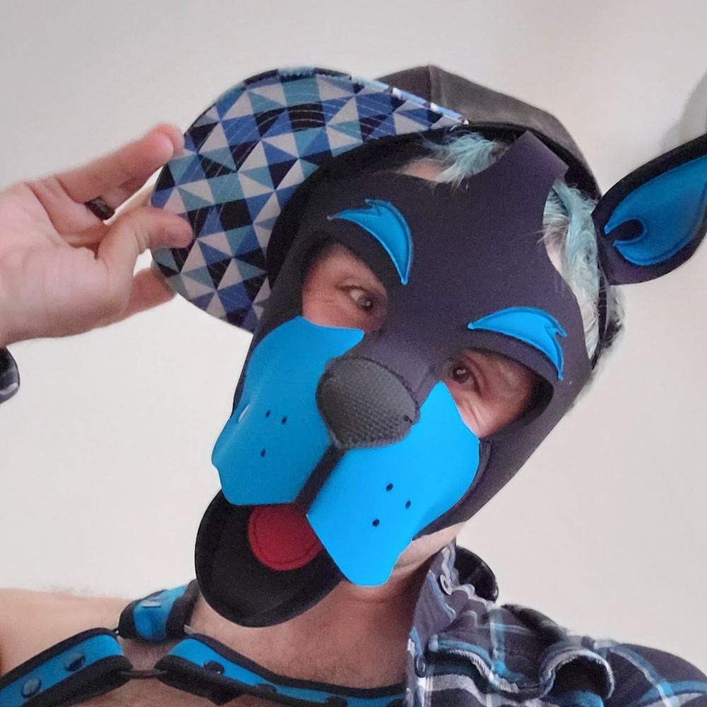 Pup Sniff