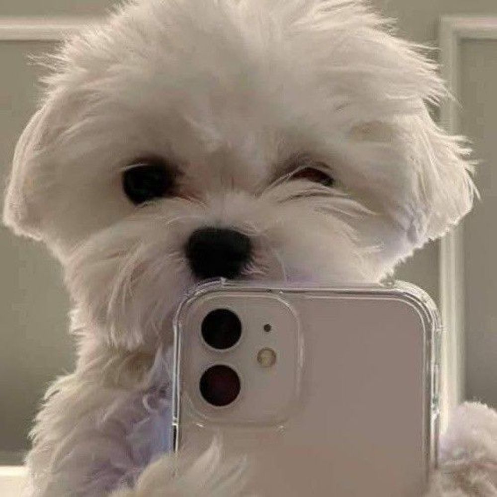 ✮⋆˙